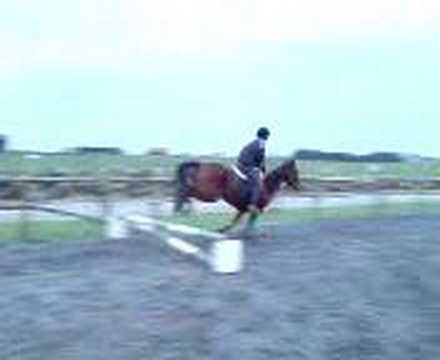 Tia og Sally hopper