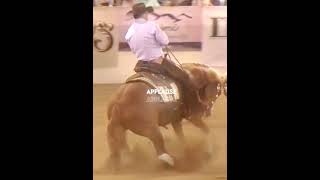 Clinton Anderson on Roll One Smoke One #reining #western #shorts #horsebackriding #horse #equestrian