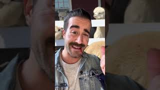 When rich people vs really rich people bring their kids to a farm. Net Worth