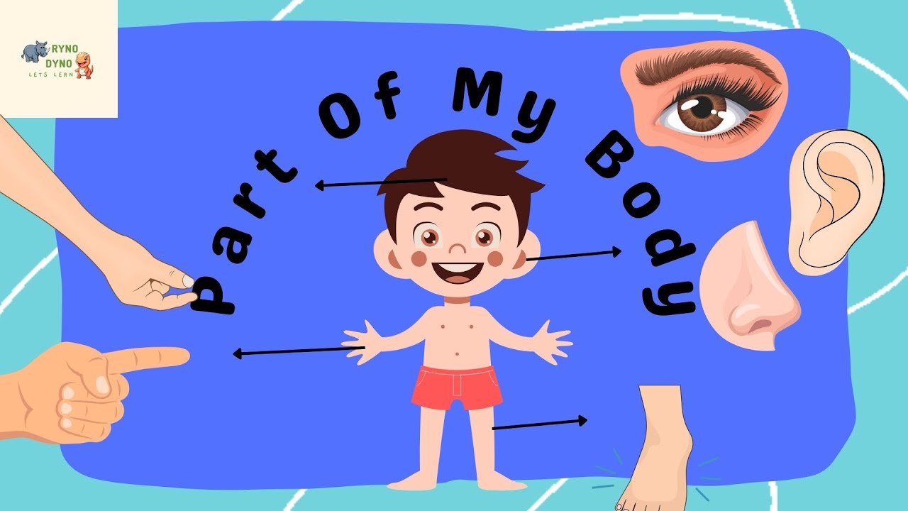 BODY PARTS. Let's identify some of our body parts. Name of our body ...