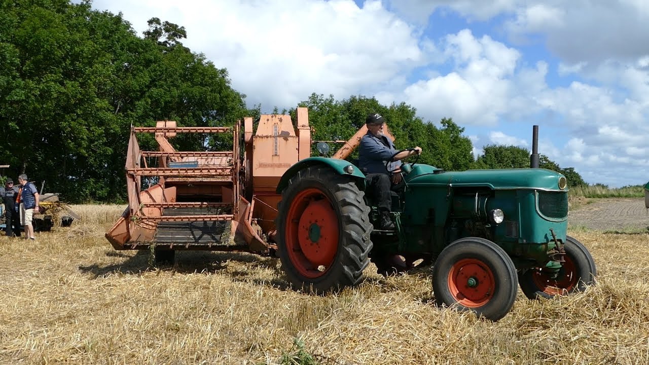 Deutz D50 Harvesting w/ Dronningbord D600 Combine at Oldtimer Event | Danish Agriculture