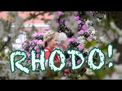 rhodo-westerstede-•-europas-größte-rhododendron-ausstellung