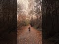autumn walk in the forest w a book in my hand 🍂🦊🍁🤎🧡 #shorts #autumn #forest