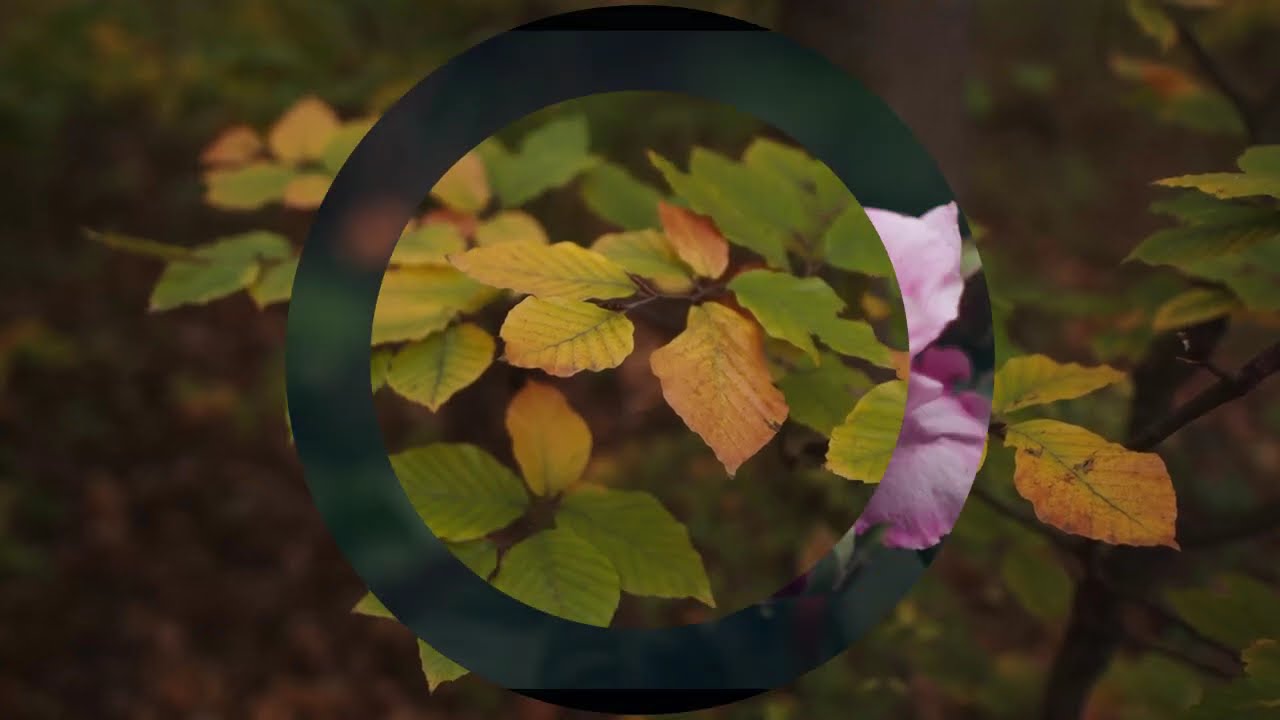 Esmaul Hüsna Allahu ekber Bismillehi Mecrahe