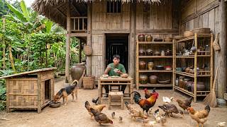 Life in the Wilderness | Trapping Wild Animals and Tracking Wild Boar Trails Deep in the Forest