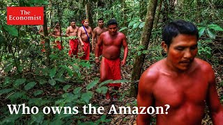 How the Amazon became a Wild West of land-grabbing