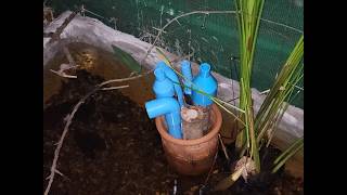 Making a simple frog hotel start to finish 
