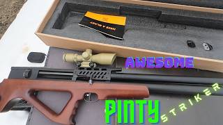 Awesome has a new name PINTY #airgun