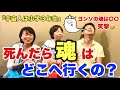 死んだら魂はどこへ行くの？『宇宙人は小学3年生』シリーズ3