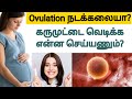 கருமுட்டை வெடிக்க | karumuttai vedika tips in tamil | how to make egg rupture naturally in tamil