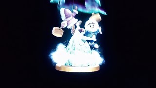 Super Smash Bros Brawl- All Star Mode Ice Climbers 