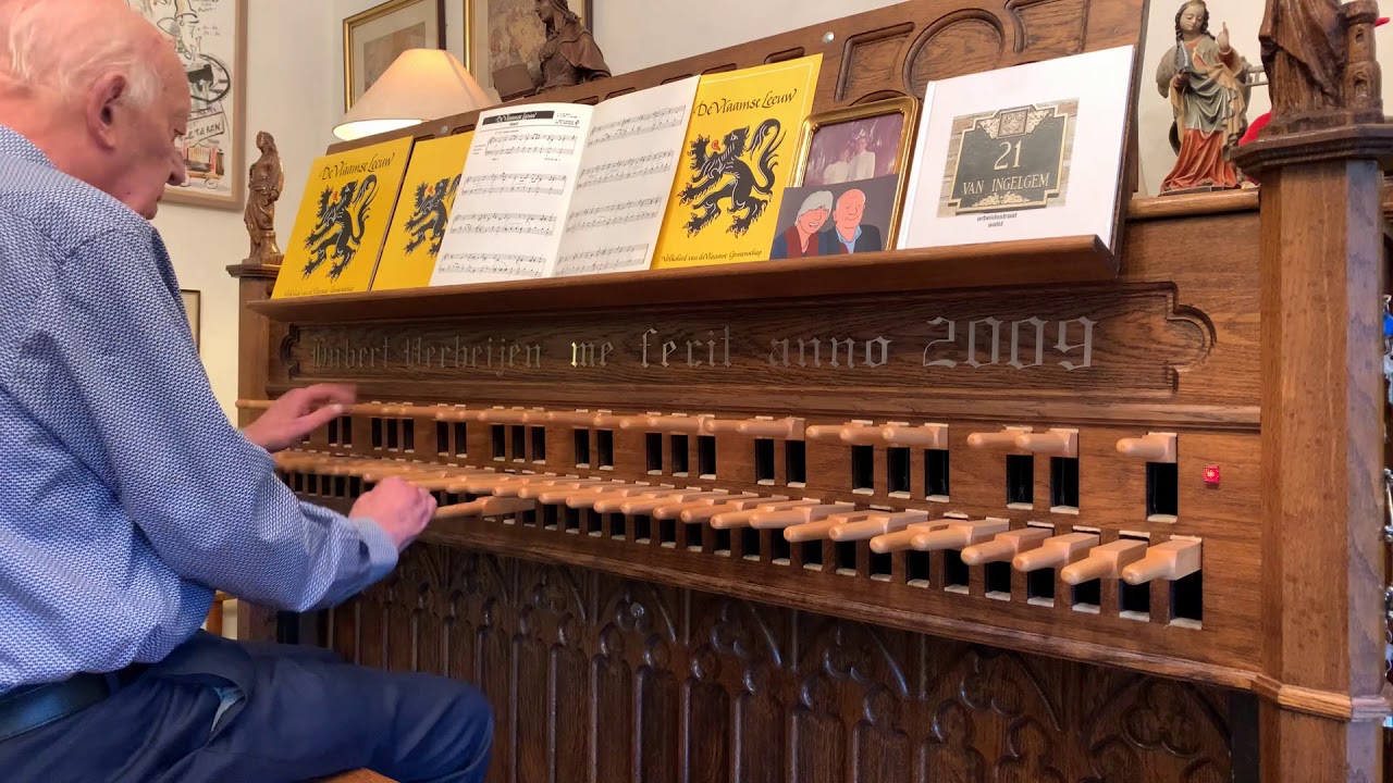 Kristiaan Van Ingelgem - De Vlaamse Leeuw