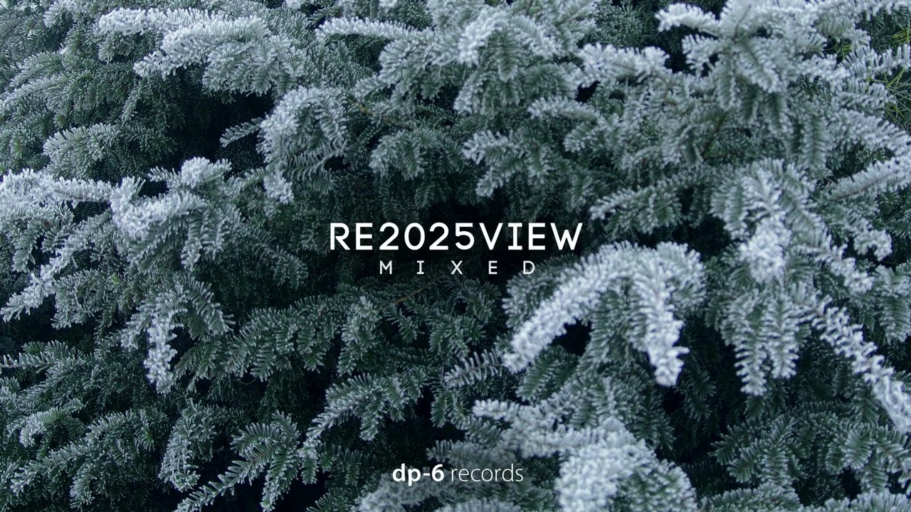RE2025VIEW, mixed