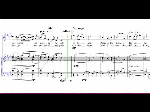 Tu lo sai - C♯m - Giuseppe Torelli