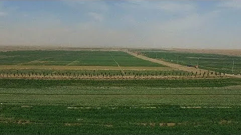 New technology in China turns desert into land rich with crops - DayDayNews