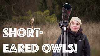 SHORT EARED OWLS! And a 2024 GOAL (or should we say G-OWL)... and some bloopers