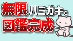 ナポレボ 最高5位のポケモンch Youtube