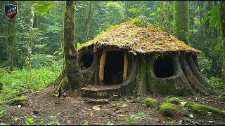 Young Man Turns Fallen Ancient Tree Stump into a Stunning Forest Home!