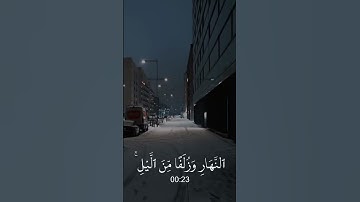 سورة هود آية 114.         وأقم الصلاة طرفي النهار وزلفا من الليل إن الحسنات يذهبن..#قرآن #اسلام_صبحي