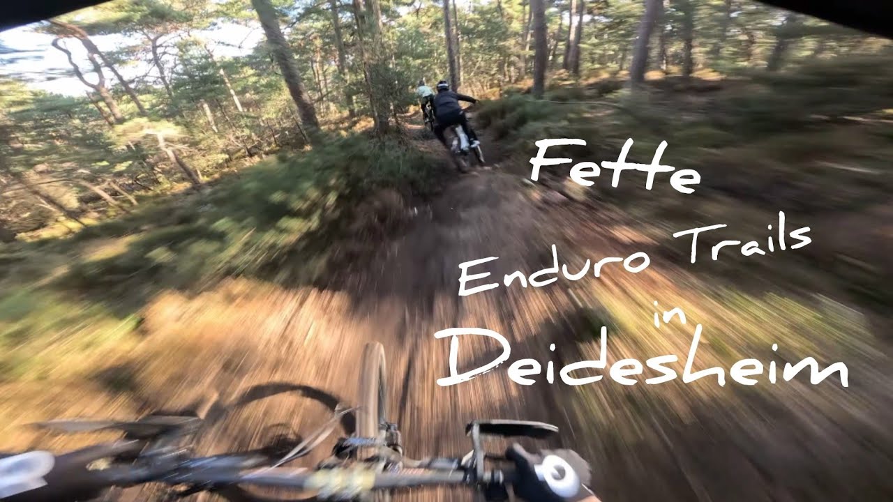 Traum Enduro-Trails in Deidesheim 😍 – Alle Strecken, ein Video!