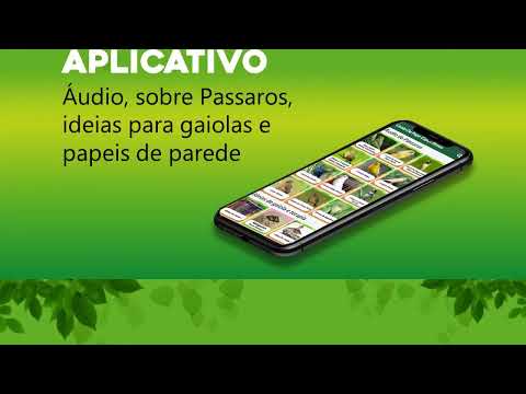 Fêmea de Papa Capim Chamando – Applications sur Google Play