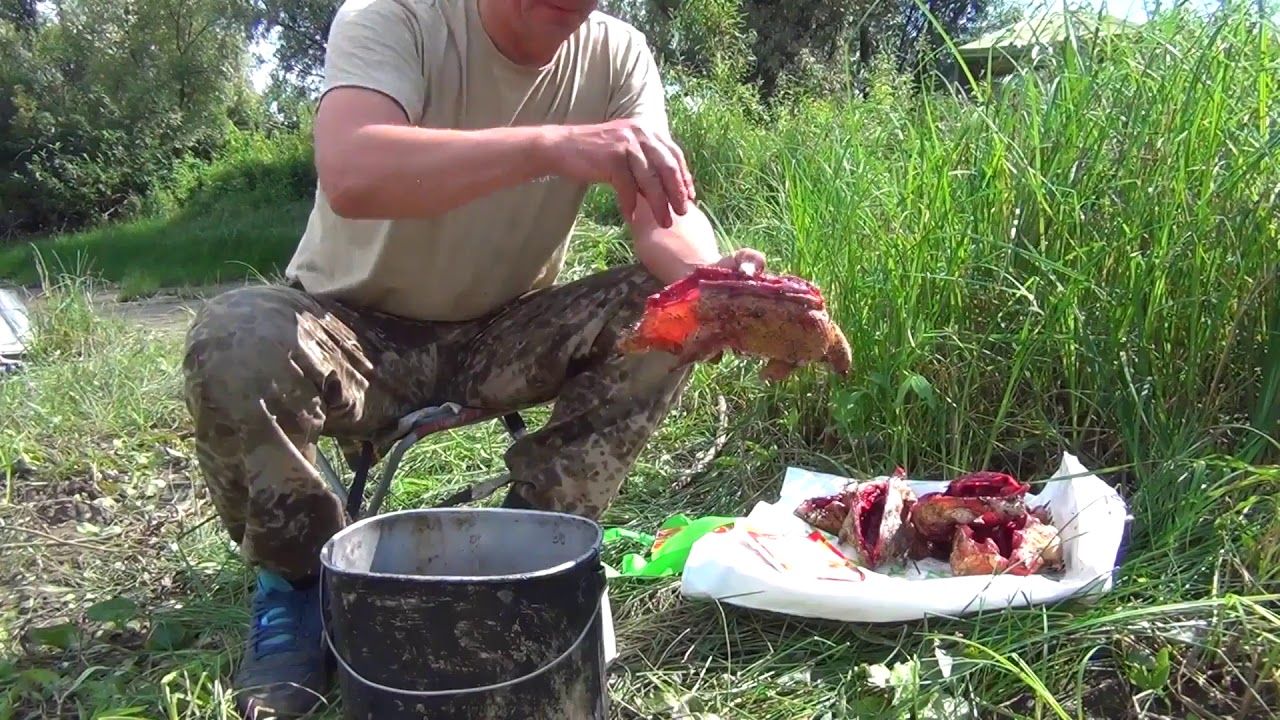 КАК СОХРАНИТЬ ДОБЫТУЮ ДИЧЬ.