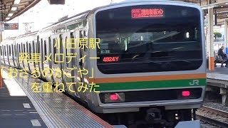 小田原駅発車メロディー(JR東海道線)「おさるのかごや」を重ねてみた