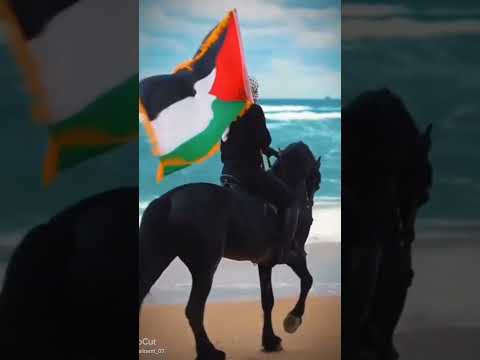 اغنية ع ع عربية