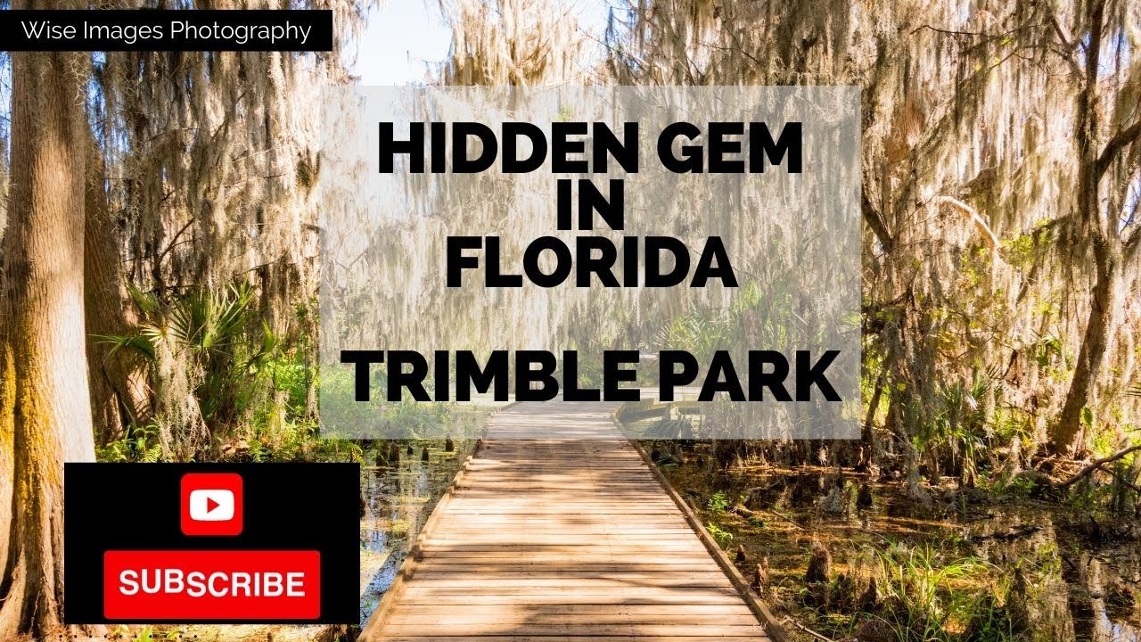 Best places to visit in Florida//Trimble Park//Hidden Gem in Florida