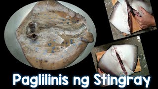 HOW TO CLEAN STINGRAY #IDEAS #STINGRAY #PAGI #ISDA