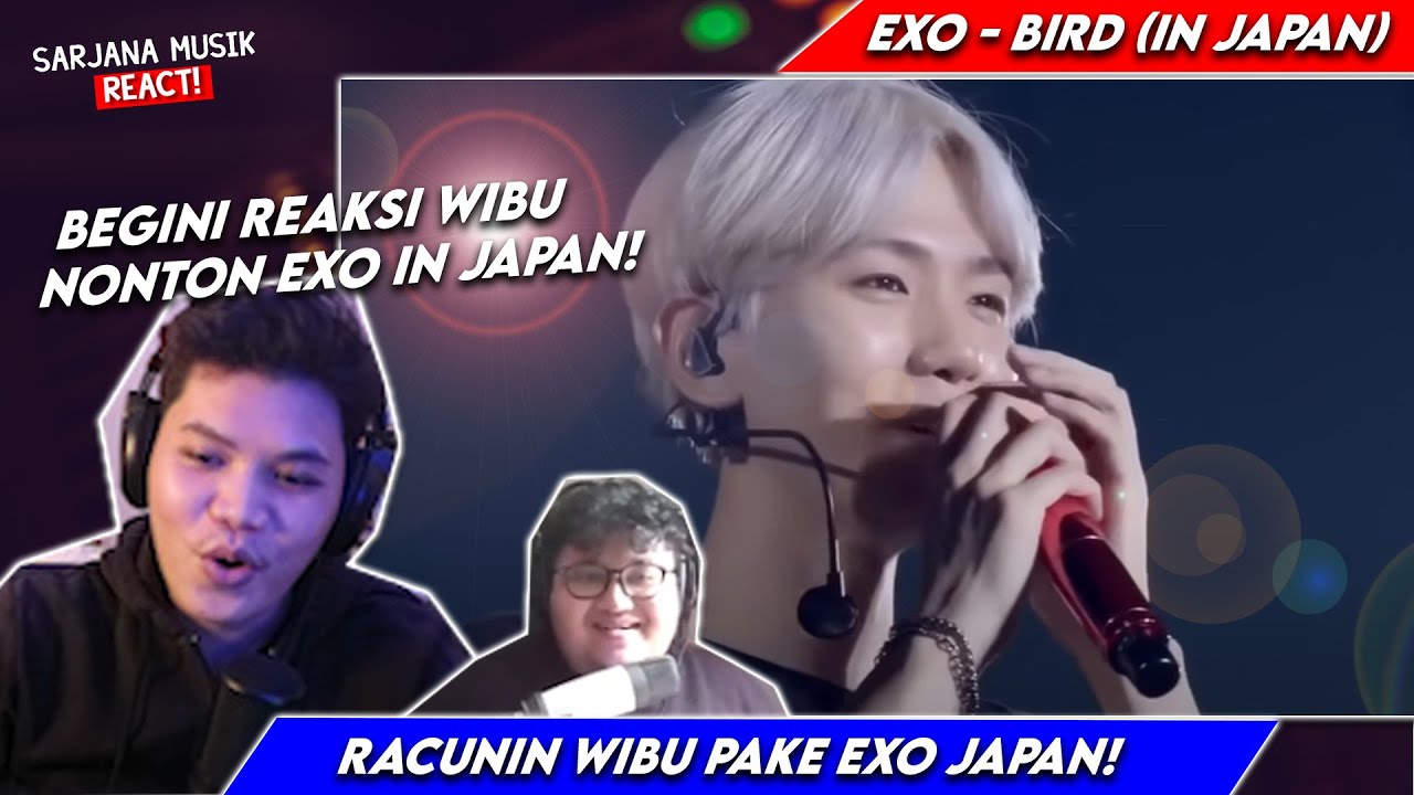 RACUNIN WIBU PAKE LAGU JAPAN EXO! BEGINI REAKSINYA! | EXO - Bird In Japan | SARJANA MUSIK REACT 