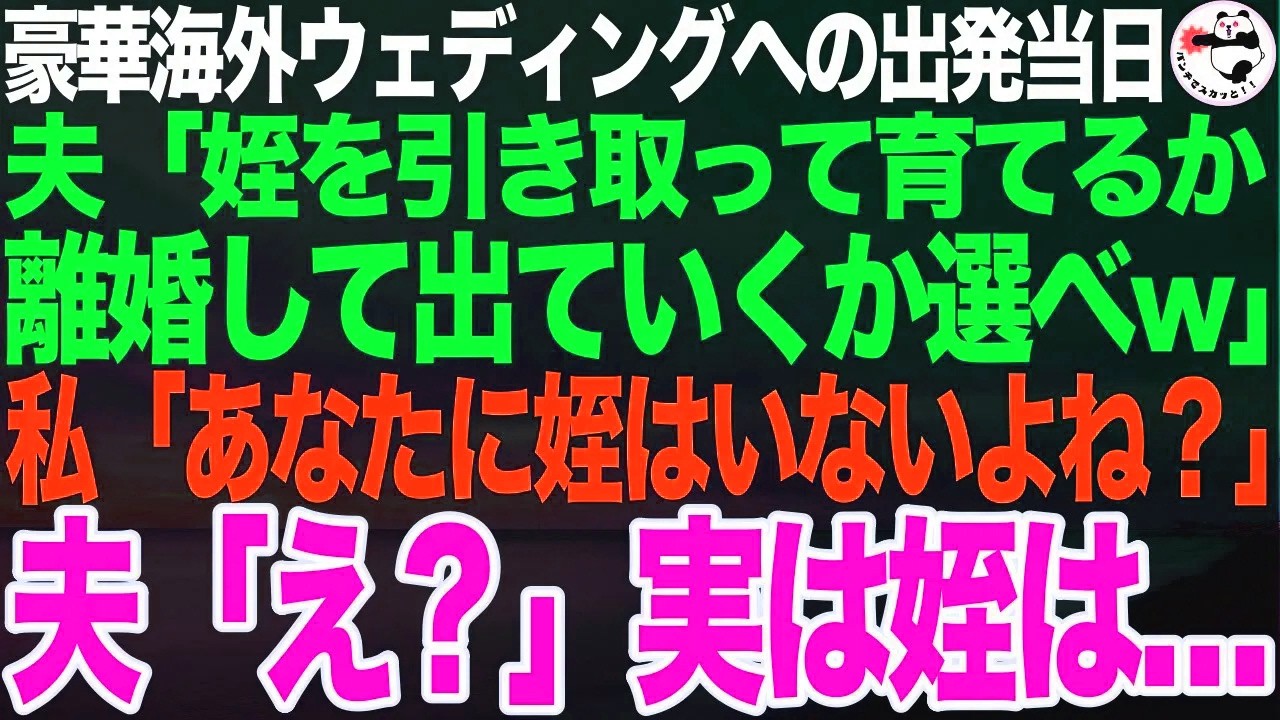 豪華海外ウェディングへの出発当日に夫「姪を引き取って育てるか離婚か選べｗ」私「あなたに姪はいないよね？」夫「え？」➡︎翌日から、会社でも家でも総スカンを食らうことにｗ【スカッとする話】