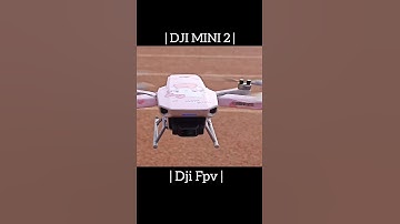 DJI Mini 2 or DJI FPV? What