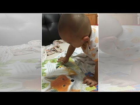 雙胞胎寶寶躺在床上玩耍，弟弟抱起哥哥腳丫就啃，表情萌翻了
