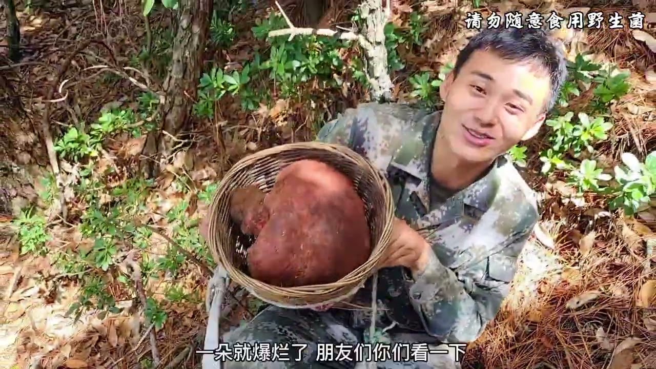 小伙喜捡菌王，1朵菌2斤重，直接把篮子撑满，第一次见这种大货