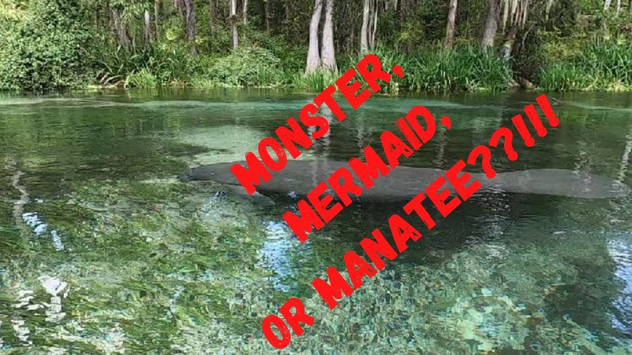 Kayaking Ichetucknee River, Florida YouTube