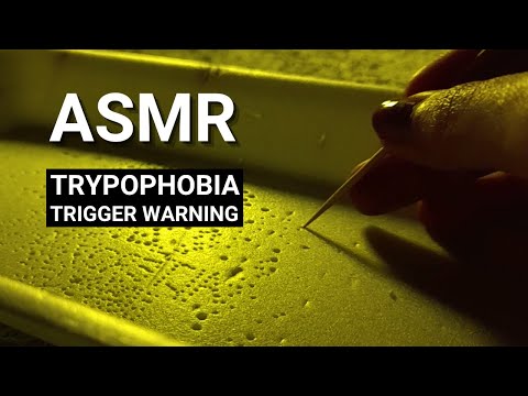 *ASMR* CRUNCHY STYROFOAM POKING & TEARING IT APART | Triggers in the dark | Lofi No Talking