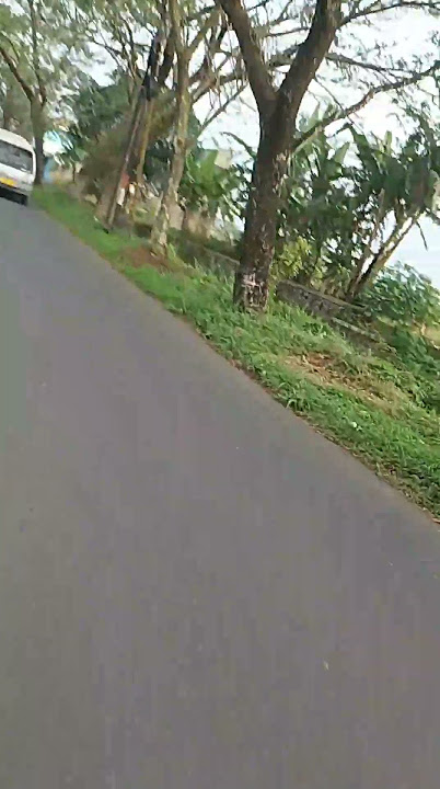 https://go.paid4link.com/MFBggUYJ