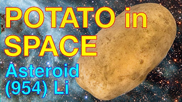 Catching a Potato in Space | Occultation by Asteroid (954) Li
