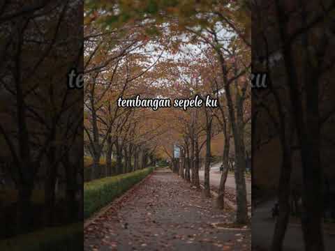 Woro Widowati - Widodari (Official Music Video)