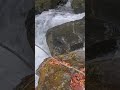 spring time adventures