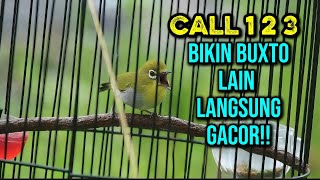 Download lagu PLECI LENJEH PANCINGAN PLECI BUXTO MALAS BUNYI🔥