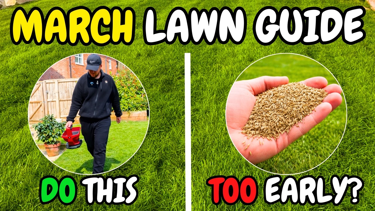 Руководство по уходу за газоном на март – что делать в этом месяце (и что может подождать)