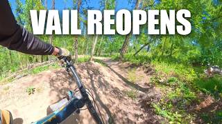 Why Vail Is the Perfect Mountain Bike Park for Beginners