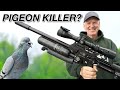 Ultimate pigeon hunting airgun  scope cam