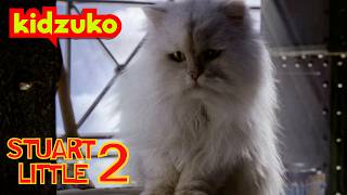 🙀 Snowball Loses Stuart 🐭 | Stuart Little 2 |  ⁨@Kidzuko⁩