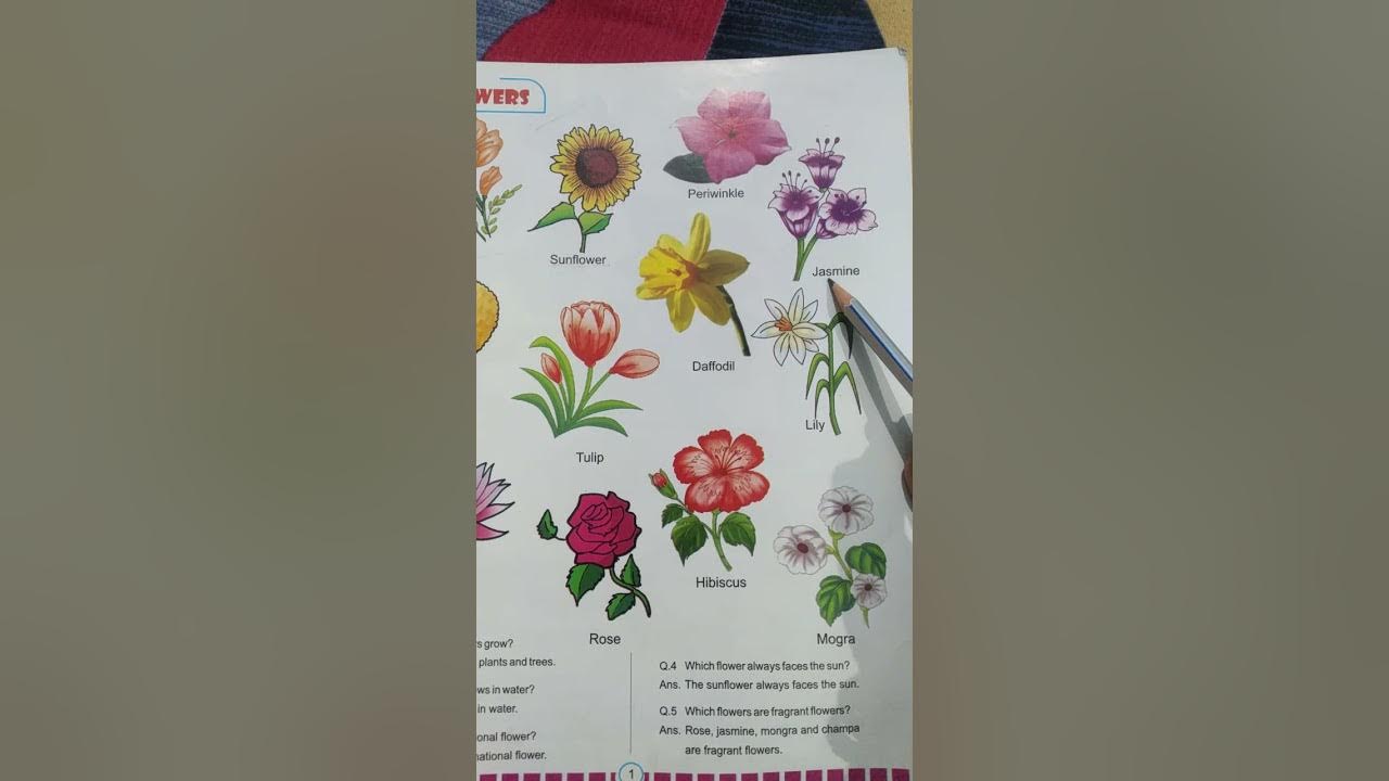 flowers name for class UKG YouTube