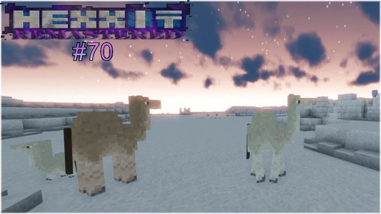 Zu besuch bei den Kamelen 🦙  #70  Fynxes  Minecraft Hexxit Remastered
