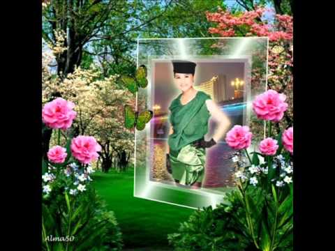 懷念鳳飛飛金曲 追夢人 大陸歌手阿木.wmv