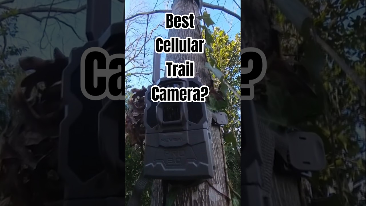 This trail cam just changed the game